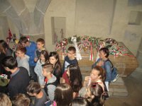 IMG 0739