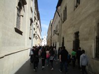 IMG 0762