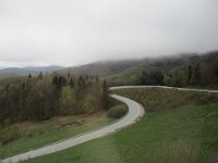 IMG 0856