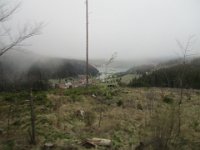 IMG 0859