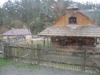 IMG 0861