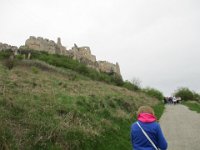 IMG 0879