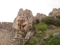 IMG 0885