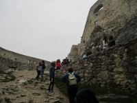 IMG 0897