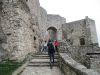 IMG 0919